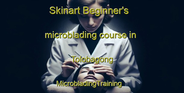 Skinart Beginner's microblading course in Tolobagong | MicrobladingTraining | MicrobladingClasses | SkinartTraining-Philippines