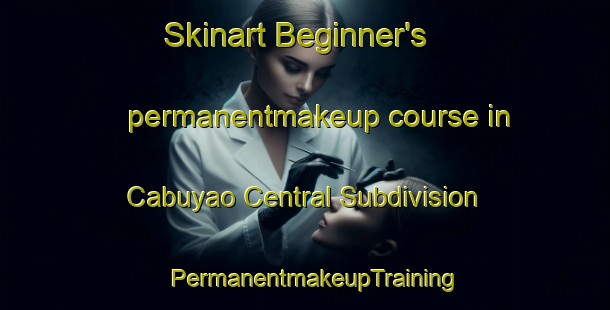 Skinart Beginner's permanentmakeup course in Cabuyao Central Subdivision | PermanentmakeupTraining | PermanentmakeupClasses | SkinartTraining-Philippines