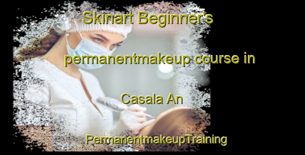 Skinart Beginner's permanentmakeup course in Casala An | PermanentmakeupTraining | PermanentmakeupClasses | SkinartTraining-Philippines