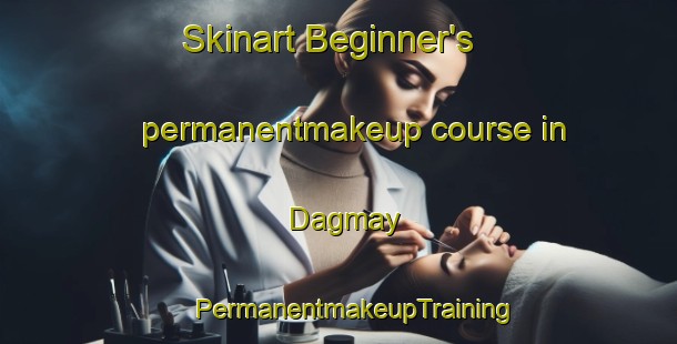 Skinart Beginner's permanentmakeup course in Dagmay | #PermanentmakeupTraining #PermanentmakeupClasses #SkinartTraining-Philippines