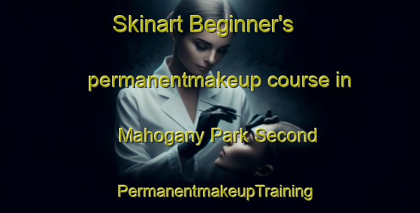 Skinart Beginner's permanentmakeup course in Mahogany Park Second | PermanentmakeupTraining | PermanentmakeupClasses | SkinartTraining-Philippines