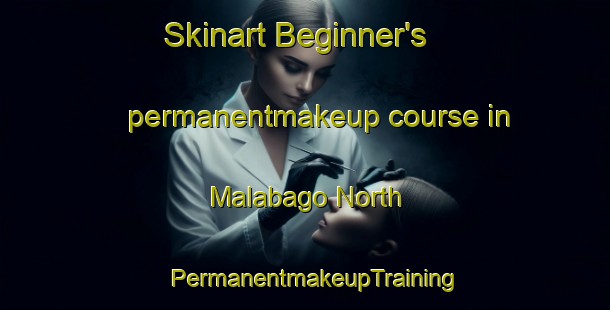 Skinart Beginner's permanentmakeup course in Malabago North | PermanentmakeupTraining | PermanentmakeupClasses | SkinartTraining-Philippines