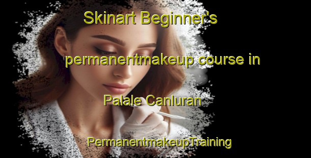 Skinart Beginner's permanentmakeup course in Palale Canluran | PermanentmakeupTraining | PermanentmakeupClasses | SkinartTraining-Philippines