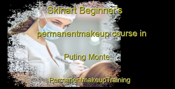 Skinart Beginner's permanentmakeup course in Puting Monte | PermanentmakeupTraining | PermanentmakeupClasses | SkinartTraining-Philippines