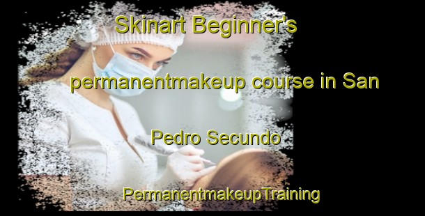 Skinart Beginner's permanentmakeup course in San Pedro Secundo | #PermanentmakeupTraining #PermanentmakeupClasses #SkinartTraining-Philippines