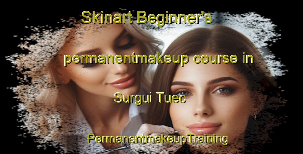 Skinart Beginner's permanentmakeup course in Surgui Tuec | #PermanentmakeupTraining #PermanentmakeupClasses #SkinartTraining-Philippines