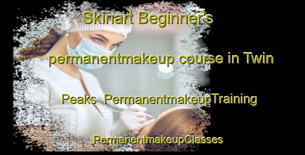 Skinart Beginner's permanentmakeup course in Twin Peaks | PermanentmakeupTraining | PermanentmakeupClasses | SkinartTraining-Philippines