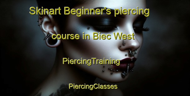Skinart Beginner's piercing course in Biec West | PiercingTraining | PiercingClasses | SkinartTraining-Philippines