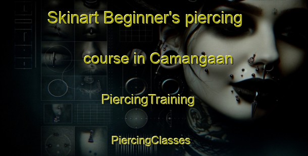 Skinart Beginner's piercing course in Camangaan | PiercingTraining | PiercingClasses | SkinartTraining-Philippines
