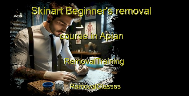 Skinart Beginner's removal course in Apian | RemovalTraining | RemovalClasses | SkinartTraining-Philippines