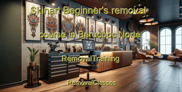 Skinart Beginner's removal course in Barucboc Norte | RemovalTraining | RemovalClasses | SkinartTraining-Philippines