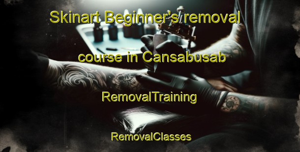 Skinart Beginner's removal course in Cansabusab | RemovalTraining | RemovalClasses | SkinartTraining-Philippines