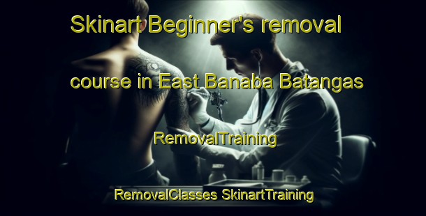 Skinart Beginner's removal course in East Banaba Batangas | #RemovalTraining #RemovalClasses #SkinartTraining-Philippines