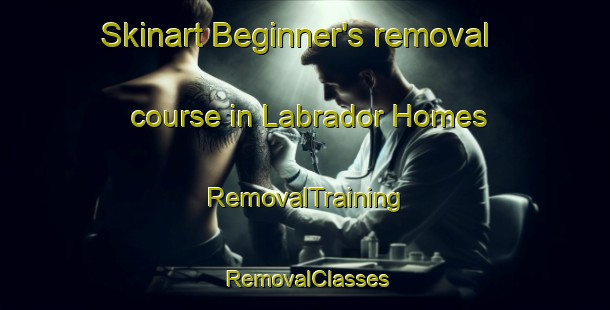 Skinart Beginner's removal course in Labrador Homes | RemovalTraining | RemovalClasses | SkinartTraining-Philippines