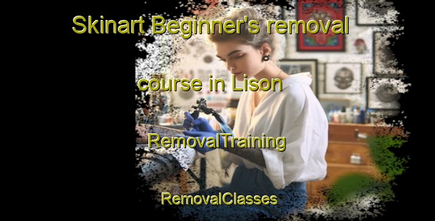 Skinart Beginner's removal course in Lison | RemovalTraining | RemovalClasses | SkinartTraining-Philippines