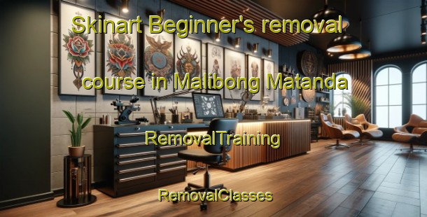 Skinart Beginner's removal course in Malibong Matanda | RemovalTraining | RemovalClasses | SkinartTraining-Philippines