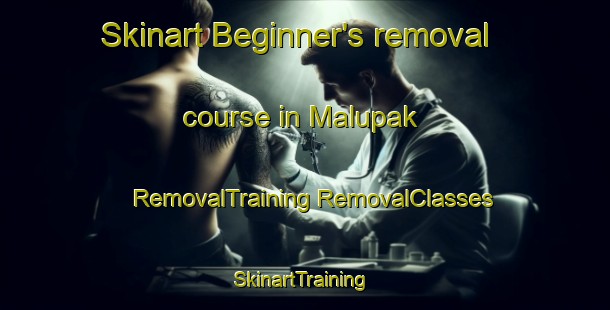 Skinart Beginner's removal course in Malupak | #RemovalTraining #RemovalClasses #SkinartTraining-Philippines