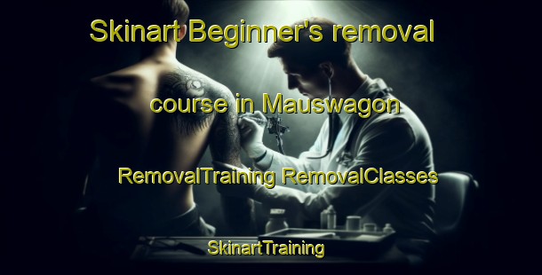 Skinart Beginner's removal course in Mauswagon | #RemovalTraining #RemovalClasses #SkinartTraining-Philippines