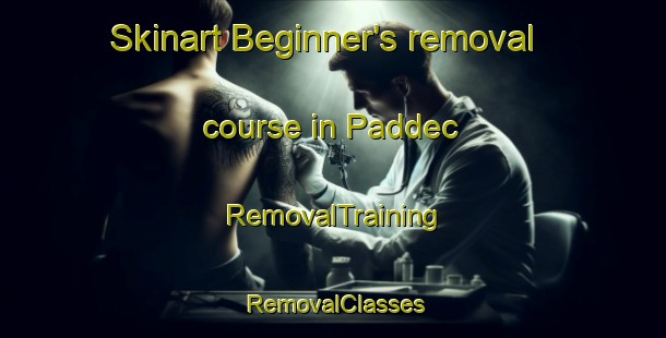 Skinart Beginner's removal course in Paddec | RemovalTraining | RemovalClasses | SkinartTraining-Philippines