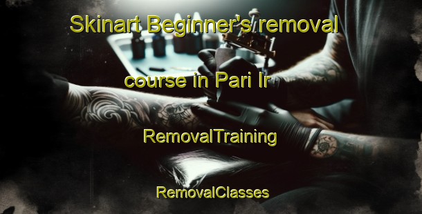 Skinart Beginner's removal course in Pari Ir | RemovalTraining | RemovalClasses | SkinartTraining-Philippines