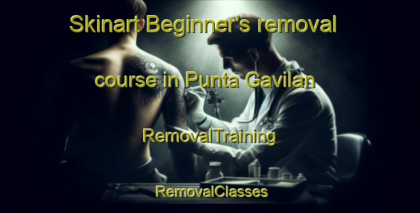 Skinart Beginner's removal course in Punta Gavilan | RemovalTraining | RemovalClasses | SkinartTraining-Philippines