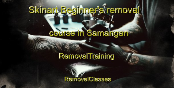 Skinart Beginner's removal course in Samangan | RemovalTraining | RemovalClasses | SkinartTraining-Philippines