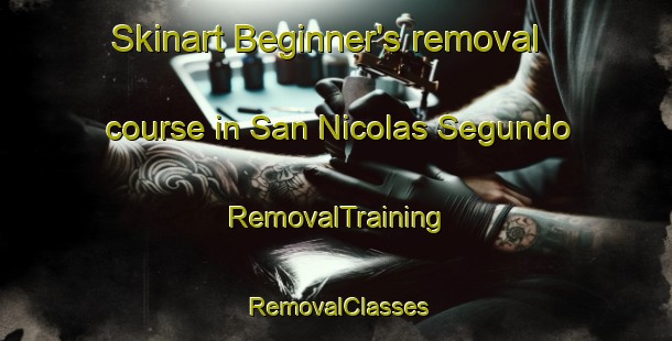 Skinart Beginner's removal course in San Nicolas Segundo | RemovalTraining | RemovalClasses | SkinartTraining-Philippines