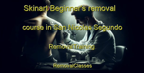 Skinart Beginner's removal course in San Nicolas Segundo | RemovalTraining | RemovalClasses | SkinartTraining-Philippines