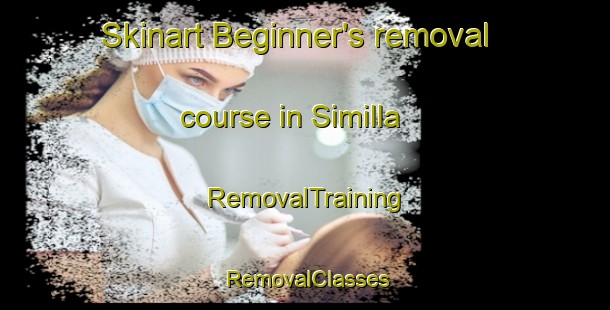 Skinart Beginner's removal course in Similla | RemovalTraining | RemovalClasses | SkinartTraining-Philippines