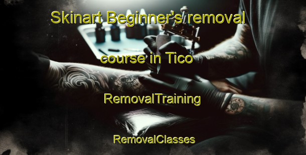 Skinart Beginner's removal course in Tico | RemovalTraining | RemovalClasses | SkinartTraining-Philippines