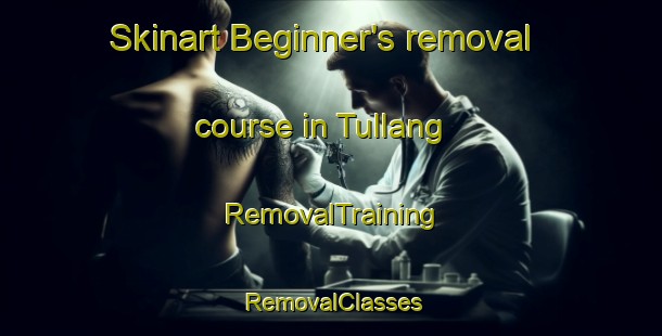 Skinart Beginner's removal course in Tullang | RemovalTraining | RemovalClasses | SkinartTraining-Philippines