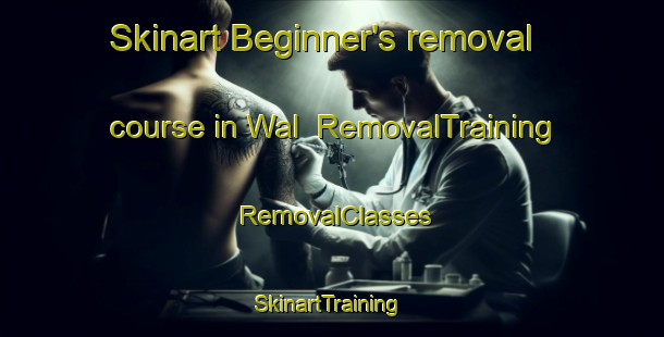 Skinart Beginner's removal course in Wal | RemovalTraining | RemovalClasses | SkinartTraining-Philippines