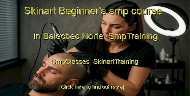 Skinart Beginner's smp course in Balecbec Norte | SmpTraining | SmpClasses | SkinartTraining-Philippines