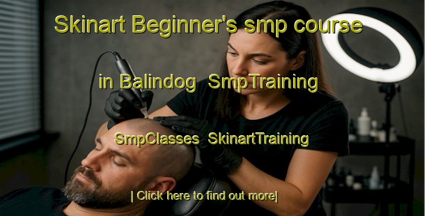 Skinart Beginner's smp course in Balindog | SmpTraining | SmpClasses | SkinartTraining-Philippines