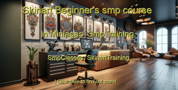 Skinart Beginner's smp course in Minlagas | SmpTraining | SmpClasses | SkinartTraining-Philippines