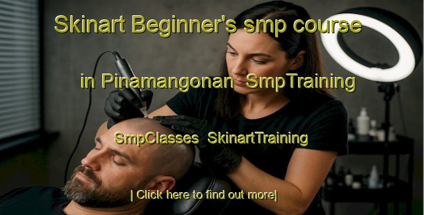 Skinart Beginner's smp course in Pinamangonan | SmpTraining | SmpClasses | SkinartTraining-Philippines