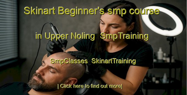 Skinart Beginner's smp course in Upper Noling | SmpTraining | SmpClasses | SkinartTraining-Philippines