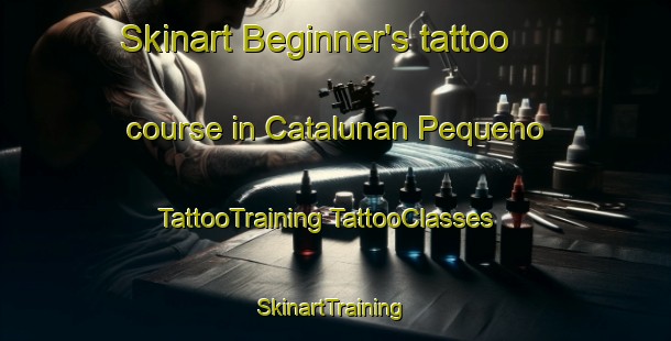 Skinart Beginner's tattoo course in Catalunan Pequeno | #TattooTraining #TattooClasses #SkinartTraining-Philippines