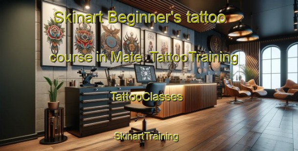 Skinart Beginner's tattoo course in Mate | TattooTraining | TattooClasses | SkinartTraining-Philippines