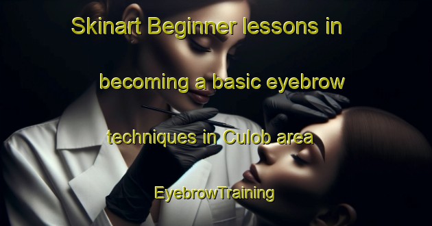 Skinart Beginner lessons in becoming a basic eyebrow techniques in Culob area | EyebrowTraining | EyebrowClasses | SkinartTraining-Philippines