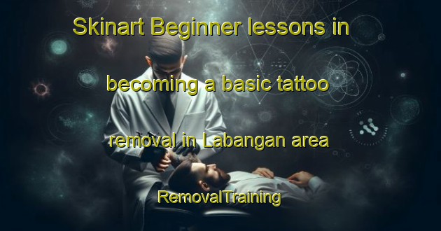 Skinart Beginner lessons in becoming a basic tattoo removal in Labangan area | RemovalTraining | RemovalClasses | SkinartTraining-Philippines
