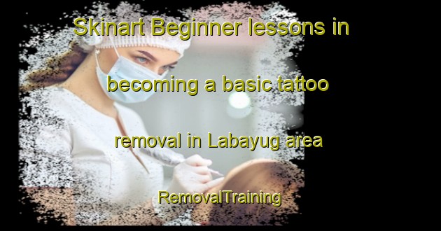 Skinart Beginner lessons in becoming a basic tattoo removal in Labayug area | RemovalTraining | RemovalClasses | SkinartTraining-Philippines