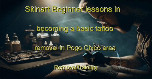 Skinart Beginner lessons in becoming a basic tattoo removal in Pogo Chico area | RemovalTraining | RemovalClasses | SkinartTraining-Philippines