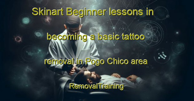 Skinart Beginner lessons in becoming a basic tattoo removal in Pogo Chico area | RemovalTraining | RemovalClasses | SkinartTraining-Philippines