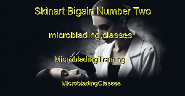 Skinart Bigain Number Two microblading classes | MicrobladingTraining | MicrobladingClasses | SkinartTraining-Philippines