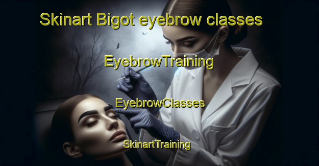 Skinart Bigot eyebrow classes | EyebrowTraining | EyebrowClasses | SkinartTraining-Philippines