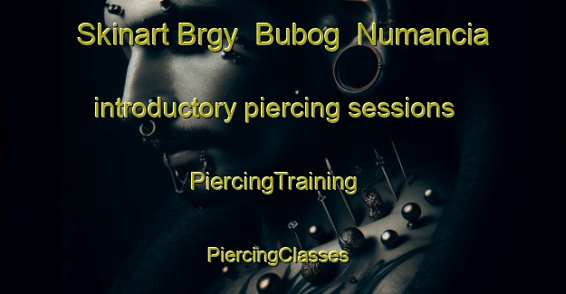 Skinart Brgy  Bubog  Numancia introductory piercing sessions | PiercingTraining | PiercingClasses | SkinartTraining-Philippines