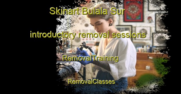 Skinart Bulala Sur introductory removal sessions | RemovalTraining | RemovalClasses | SkinartTraining-Philippines