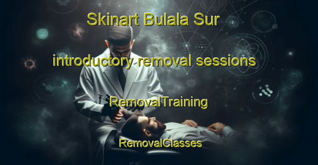 Skinart Bulala Sur introductory removal sessions | RemovalTraining | RemovalClasses | SkinartTraining-Philippines