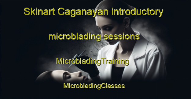 Skinart Caganayan introductory microblading sessions | MicrobladingTraining | MicrobladingClasses | SkinartTraining-Philippines